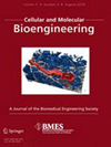 Cellular And Molecular Bioengineering