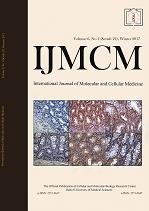 International Journal Of Molecular And Cellular Medicine