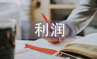 收入費(fèi)用利潤實(shí)訓(xùn)總結(jié)