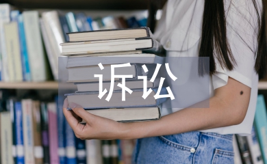 知識產(chǎn)權訴訟