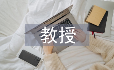 教授評(píng)職稱論文