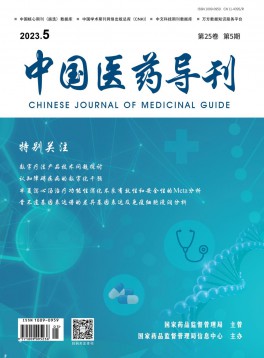 中國醫(yī)藥導(dǎo)刊雜志